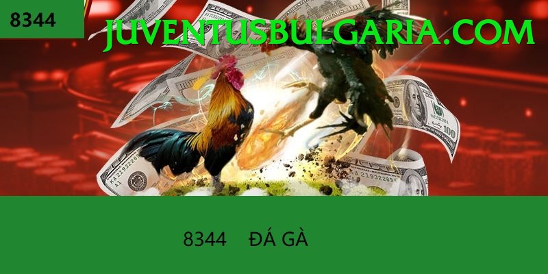 Cách Đọc Kèo Đá Gà